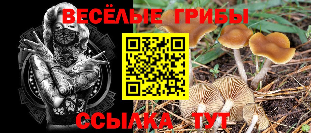 Галлюциногенные грибы Magic Shrooms Гурьевск